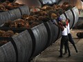 Penting Edukasi Biodiesel B20 Menjaga Kepercayaan Konsumen