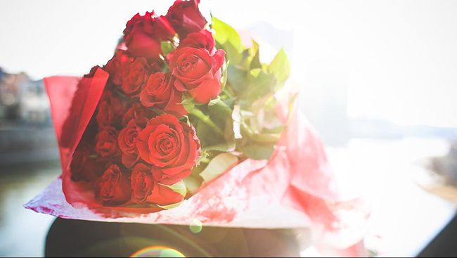 Kado Valentine Terindah: Seikat Bunga dari Surga Shelly Golay akan mendapatkan kiriman bunga Valentine indah seumur hidupnya. Bunga ini dikirim dari sang suami yang sudah meninggal.