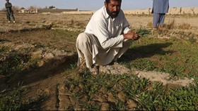 Opium dan Kelompok Militan Merajalela di Afghanistan