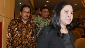 Level Puan Mentok di Wakil Ketua Umum