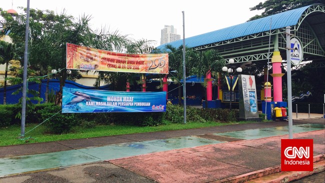 Petugas Sea World tetap memberi makan setiap hari dan mendampingi dokter hewan yang mengecek kesehatan ikan dan biota laut setiap seminggu sekali.
