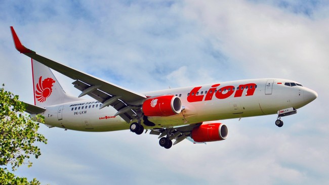 Direktur Utama Angkasa Pura II Budi Karya Sumadi menginformasikan keterlambatan terbang puluhan pesawat Lion Air karena ada pesawat menabrak burung.