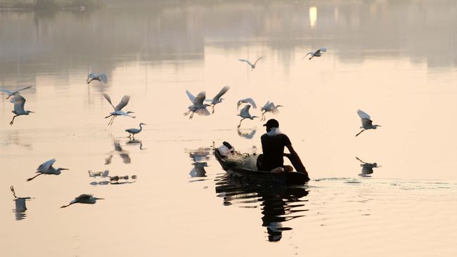 Gubernur Minta DLHK Teliti Air Sungai Bengkulu Terindikasi Tercemar Setelah DLHK melakukan pemeriksaan dan pengkajian, gubernur menyatakan baru akan menelurkan langkah kongkret mengatasi persoalan Sungai Bengkulu.