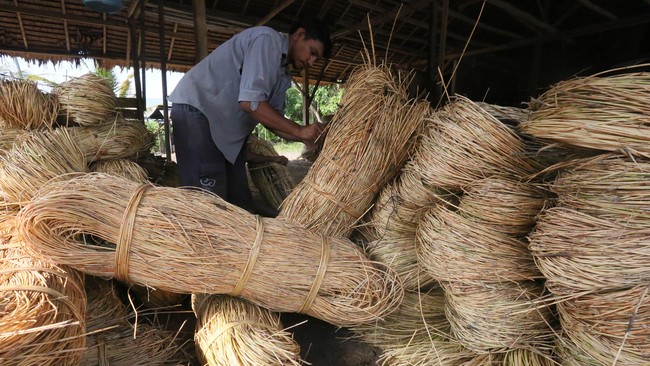 Ditjen Bea Cukai menyebut 155 ton rotan yang gagal diekspor secara ilegal ke Singapura dan China bernilai lebih dari Rp11 miliar.