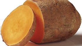 Daun Ubi Punya Vitamin yang Berlimpah