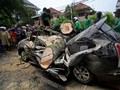 Cara Mengemudi Aman Hindari Pohon Tumbang Dihempas Badai