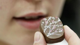 Alasan Ilmiah Dibalik Sulitnya Menolak Godaan Makan Cokelat