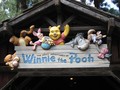 Rumah Pohon Winnie the Pooh disewakan Jadi Tempat Penginapan