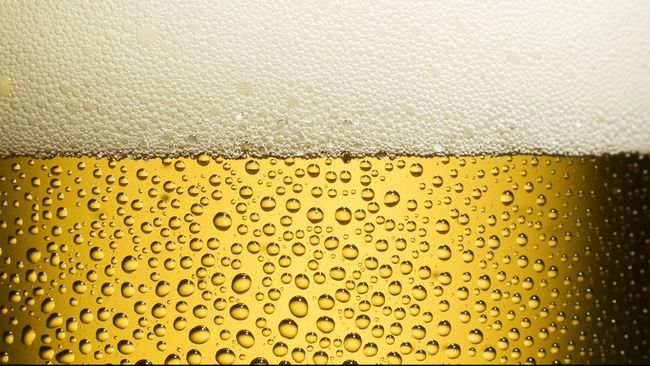 Terciptanya ide membuat palcohol diawali karena ingin menikmati minuman beralkohol setelah hiking atau kegiatan lain tanpa harus membawa botol yang berat.