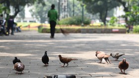 Menjaga Renjana Musisi di Taman Kota