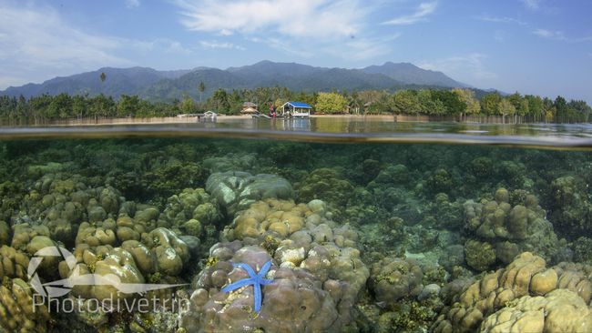 "Kuncinya Sulawesi itu ada di Parigi Moutong. Kalau belum datang ke Parigi Moutong, belum bertemu dengan kunci dunia."