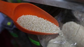 Sering Kembung? Bisa Jadi Anda Celiac Lite