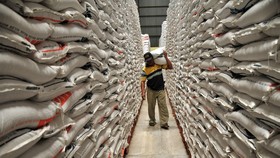 Stok Aman Sampai Desember, Jokowi Tegaskan Tak Impor Beras