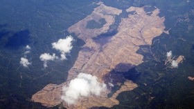 Hutan Punya Peran Penting untuk Ekonomi Masyarakat Miskin