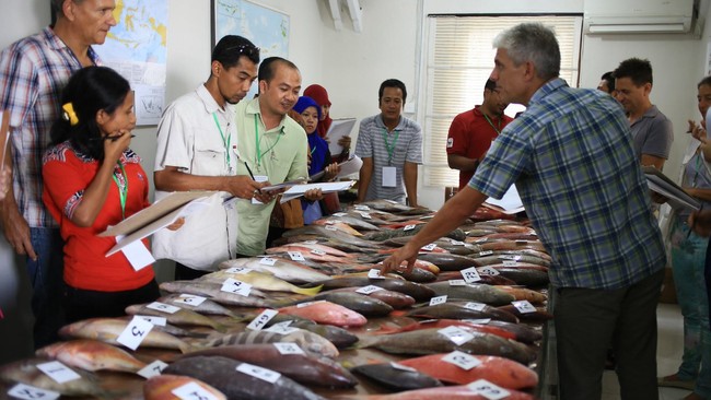 Kementerian Kelautan dan Perikanan menyatakan sering menemukan kapal berbendera Hong Kong masuk ke Indonesia dan mengangkut ikan kerapu ke luar negeri.