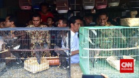 Akhir Pekan Jokowi, dari Burung Perkutut Hingga Batu Akik