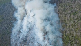 Pascablusukan Jokowi, Satgas Kebakaran Hutan Dibentuk