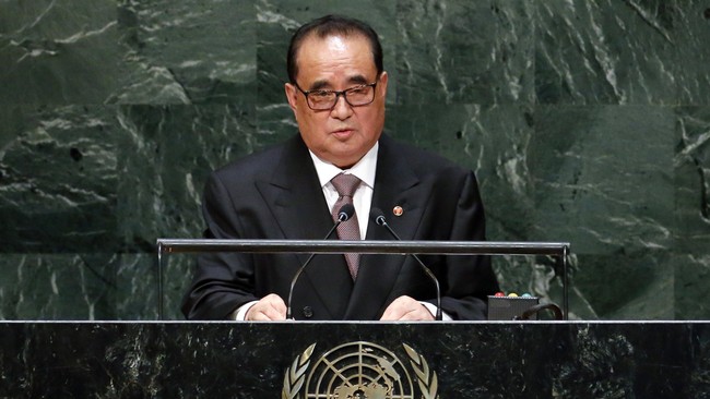 Pejabat yang mewakili Pyongyang di panggung internasional, Ri Su Yong, kembali muncul setelah lama dikabarkan menghilang.