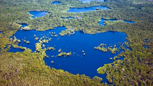 Indonesia memiliki 19 Cagar Biosfer UNESCO yang saat ini masih kian terancam kegiatan penebangan liar dan pembakaran hutan demi industri.