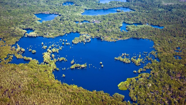 Data terbaru WWF Indonesia mengenai penyusutan luas hutan di Sumatera menunjukkan angka memprihatinkan. Bagaimana nasib satwa liar terlindungi di sana?