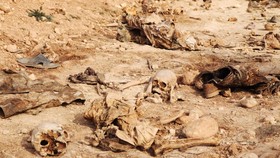 Sebanyak 32 Jasad Ditemukan di Kuburan Massal di Meksiko