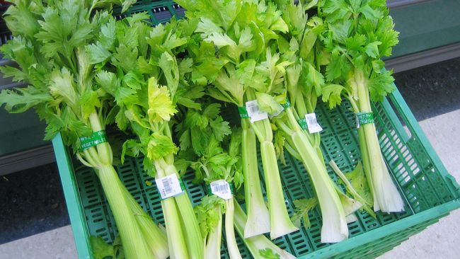 Bahan-bahan makanan perlu disimpan dengan baik agar awet sehingga tidak mudah basi atau busuk dan masih bisa dikonsumsi.