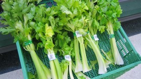 8 Trik Bikin Makanan Tahan Lama Saat Harga Pangan Melonjak