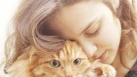 Cara Pelihara Kucing Bisa Bantu Langgengkan Hubungan Cinta