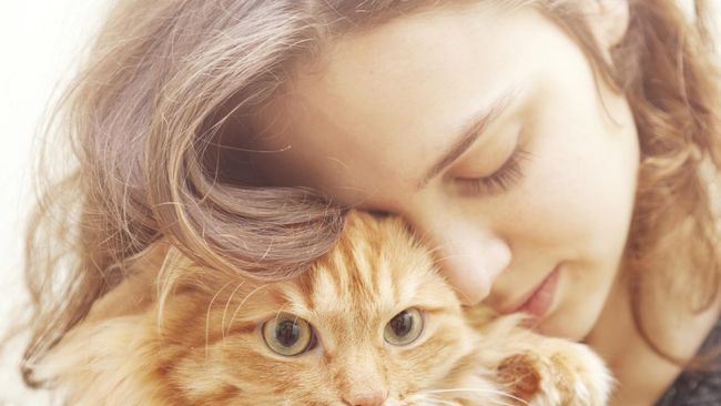 Perusahaan tersebut percaya aroma jidat kucing bisa memberikan rasa tenang dan nyaman pada mereka yang menciumnya.