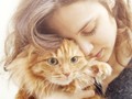 Cara Pelihara Kucing Bisa Bantu Langgengkan Hubungan Cinta