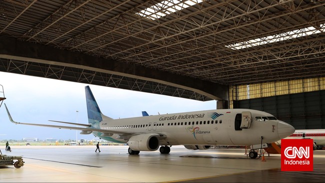 Aksi Mario Stevan menyusup ke roda pesawat Garuda Indonesia yang terbang dari Pekanbaru ke Jakarta membuat GM Bandara Sultan Syarif Kasim diberi sanksi Kemhub.