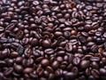 Taman Delta Bidik Ekspor Kopi ke Eropa US$ 2 Juta