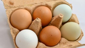 5 Cara Menyimpan Telur yang Benar agar Awet