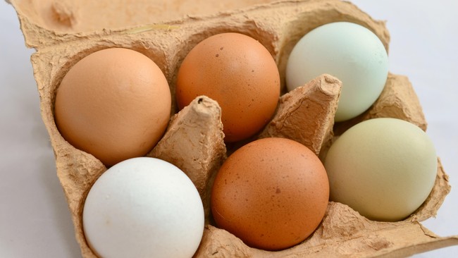 Mendag Zulhas berjanji harga telur ayam akan turun dalam dua minggu ke depan.