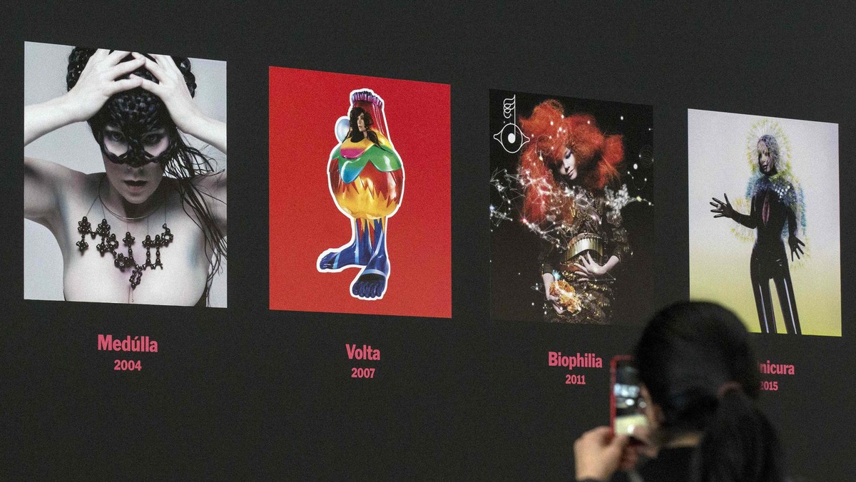 Cipta Eksentrik Bjork Warnai Museum Seni