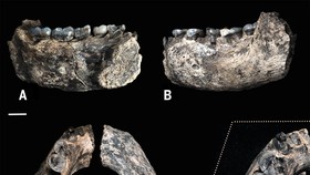 DNA Manusia Purba Tertua Ditemukan di Italia