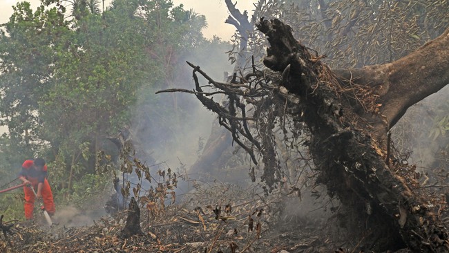 Ternyata, sebanyak 99,9 persen kebakaran hutan dan lahan adalah perbuatan yang disengaja.