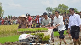 Jokowi: Gunakan Lahan Tak Produktif Untuk Tani dan Ternak