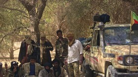 Serangan Militan di Mali Tewaskan 5 Orang, 2 Warga Eropa