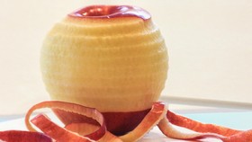Tas Ramah Lingkungan Berbahan Kulit Apel dan Mangga