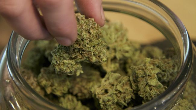 Sosis Ganja Jadi Menu Baru di Kentucky Produk dari serat, minyak dan biji ganja itu diolah sebagai bagian dari bumbu untuk membuat sosis dalam festival di Louisville, Kentucky.