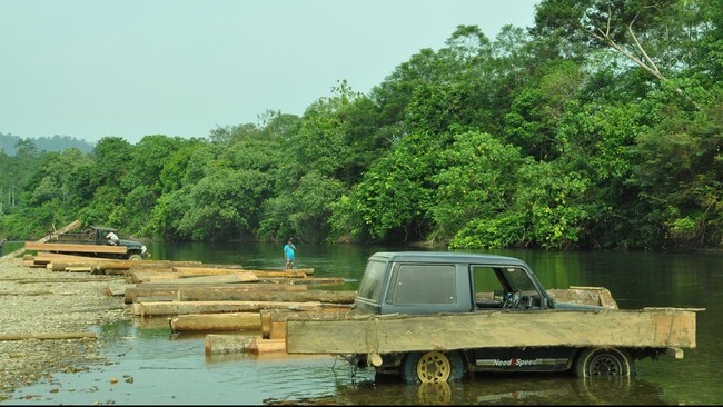 Direktorat Tindak Pidana Tertentu (Dittipidter) Bareskrim Polri menyebut ada aktivitas illegal logging atau penebangan liar di hulu Sungai Tamiang, Aceh.