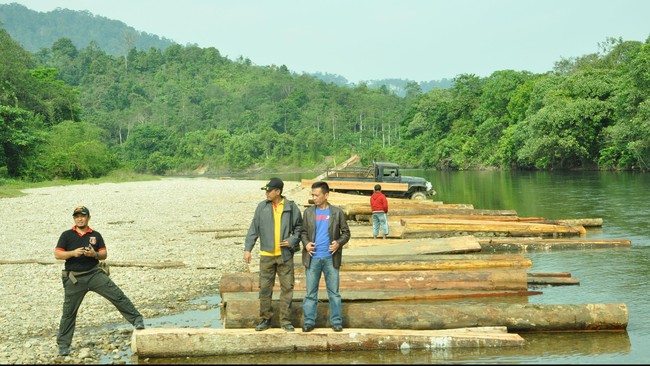 Apabila lembaga tersebut terbentuk, besar kemungkinan kasus korupsi yang berkaitan dengan perusakan kehutanan akan ditarik proses penyidikan ke LP3H.