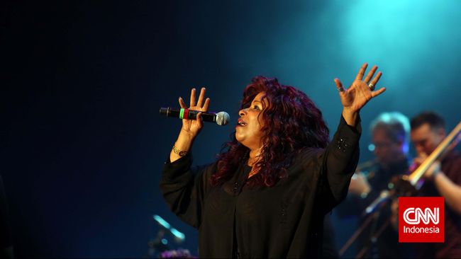 Penyanyi legendaris Chaka Khan menyatakan siap menjalani rehabilitasi untuk mengatasi ketergantungan fentanyl, obat yang membunuh Prince.