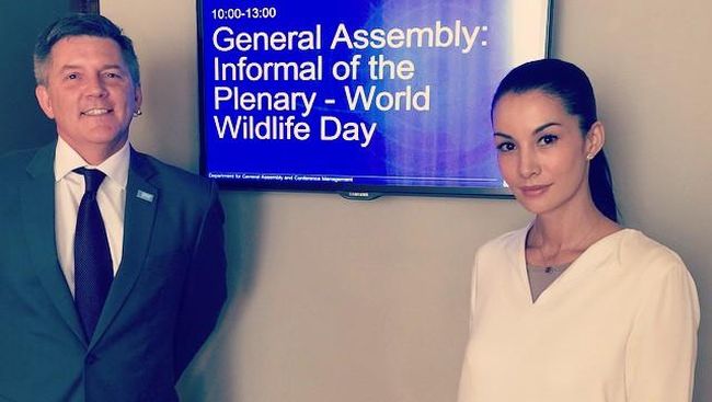 Nadya Hutagalung didapuk menjadi duta UN-GRASP untuk penyelamatan primata. Ia menghadiri pertemuan PBB di New York, dan bercerita pada CNN Indonesia.