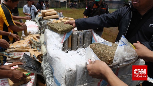 Ganja seberat 272 kg itu rencananya bakal diedarkan di luar Pulau Sumatera. Polisi sekarang memburu pemilik ratusan kilogram ganja kering tersebut.