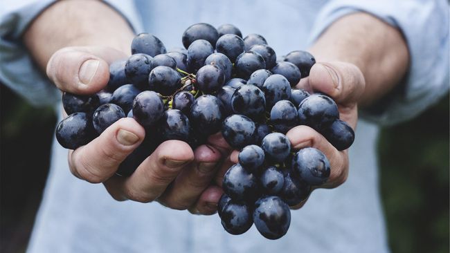 Ada beberapa jenis buah yang pantang dikonsumsi penderita asam urat. Gara-garanya, kandungan oksalat yang ditemukan dalam beragam buah berikut.