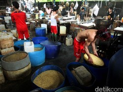 Negara Mana yang Jadi Pemasok Kedelai Impor ke RI?