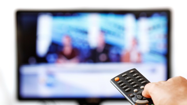 Komisioner Komisi Informasi Pusat Republik Indonesia Yanu Setiawan mengatakan, apa yang dilakukan Metro TV adalah bagian dari fungsi media massa.