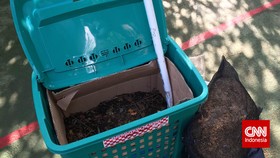 Jenis Sampah dan Lama Proses Penghancurannya